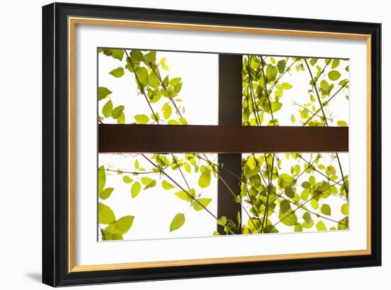 Branches and Lattice-Karyn Millet-Framed Photographic Print