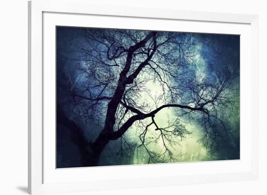 Branches at Night-Ursula Abresch-Framed Photographic Print