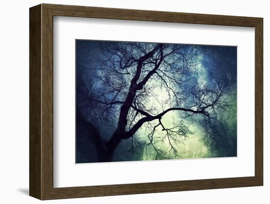 Branches at Night-Ursula Abresch-Framed Photographic Print