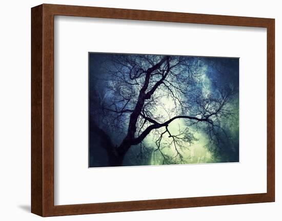 Branches at Night-Ursula Abresch-Framed Photographic Print