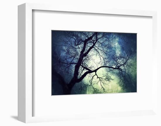 Branches at Night-Ursula Abresch-Framed Photographic Print