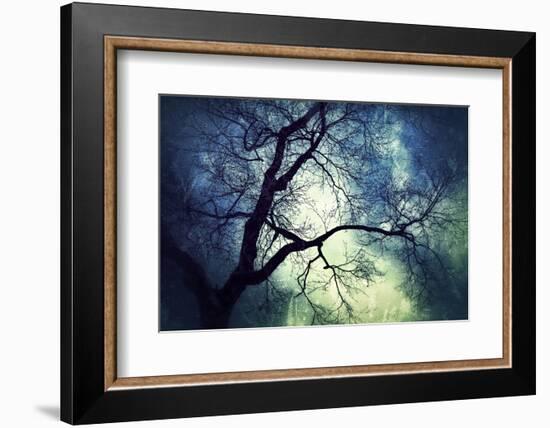 Branches at Night-Ursula Abresch-Framed Photographic Print