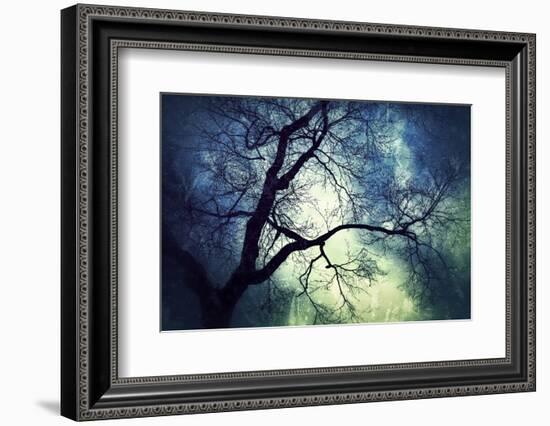 Branches at Night-Ursula Abresch-Framed Photographic Print