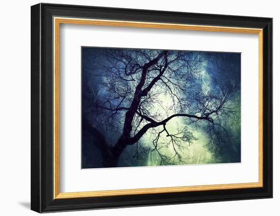 Branches at Night-Ursula Abresch-Framed Photographic Print