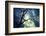 Branches at Night-Ursula Abresch-Framed Photographic Print