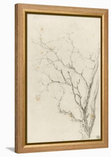 Branches d'arbre dépouillées-Pierre Henri de Valenciennes-Framed Premier Image Canvas