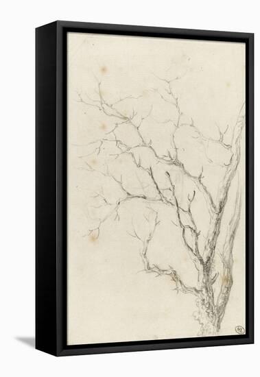 Branches d'arbre dépouillées-Pierre Henri de Valenciennes-Framed Premier Image Canvas