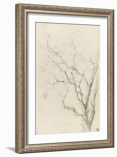 Branches d'arbre dépouillées-Pierre Henri de Valenciennes-Framed Giclee Print