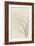 Branches d'arbre dépouillées-Pierre Henri de Valenciennes-Framed Giclee Print