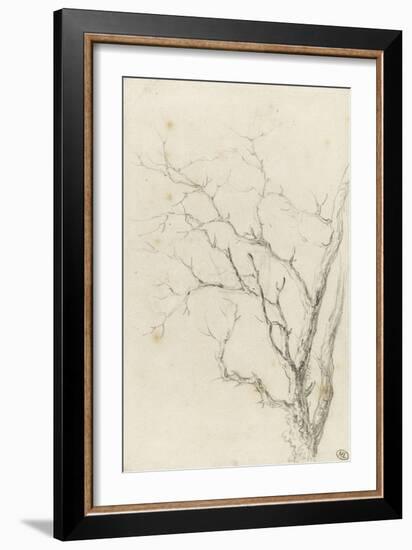 Branches d'arbre dépouillées-Pierre Henri de Valenciennes-Framed Giclee Print