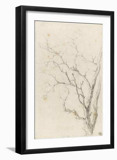 Branches d'arbre dépouillées-Pierre Henri de Valenciennes-Framed Giclee Print