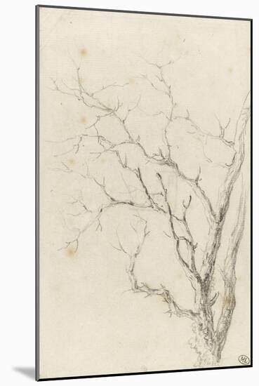 Branches d'arbre dépouillées-Pierre Henri de Valenciennes-Mounted Giclee Print