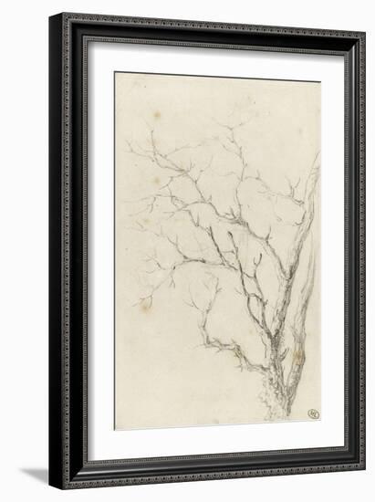 Branches d'arbre dépouillées-Pierre Henri de Valenciennes-Framed Giclee Print