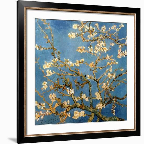 Branches fleuries d'amandier (Détail)-Vincent van Gogh-Framed Art Print