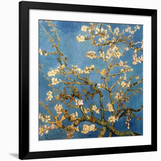 Branches fleuries d'amandier (Détail)-Vincent van Gogh-Framed Art Print