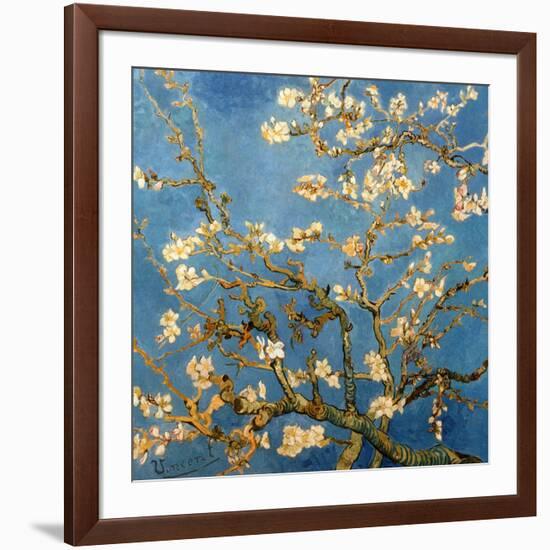 Branches fleuries d'amandier (Détail)-Vincent van Gogh-Framed Art Print