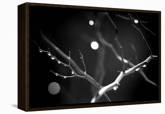 Branches in Rain-Ursula Abresch-Framed Premier Image Canvas