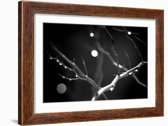 Branches in Rain-Ursula Abresch-Framed Photographic Print