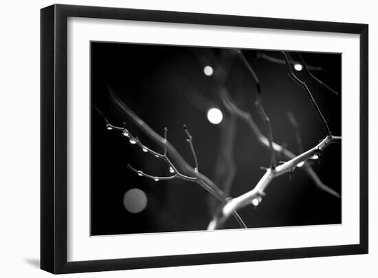 Branches in Rain-Ursula Abresch-Framed Photographic Print