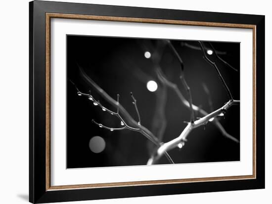 Branches in Rain-Ursula Abresch-Framed Photographic Print