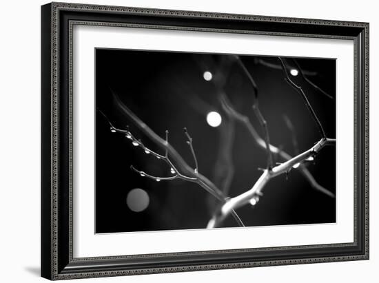 Branches in Rain-Ursula Abresch-Framed Photographic Print