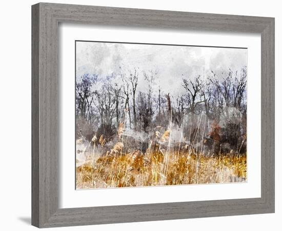 Branches in the Sky-Chamira Young-Framed Art Print