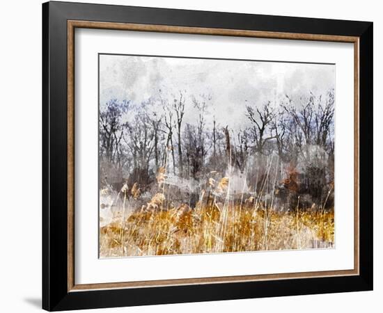 Branches in the Sky-Chamira Young-Framed Art Print