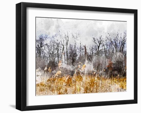 Branches in the Sky-Chamira Young-Framed Art Print