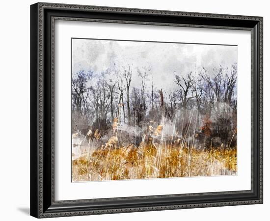 Branches in the Sky-Chamira Young-Framed Art Print