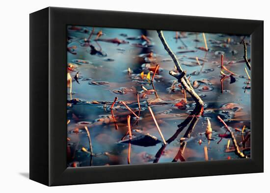 Branches in Water-null-Framed Stretched Canvas