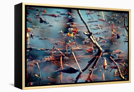 Branches in Water-null-Framed Stretched Canvas