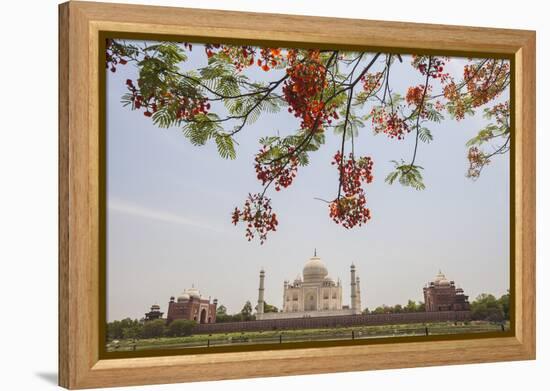 Branches of a Flowering Tree with Red Flowers Frame the Taj Mahal Symbol of Islam in India-Roberto Moiola-Framed Premier Image Canvas