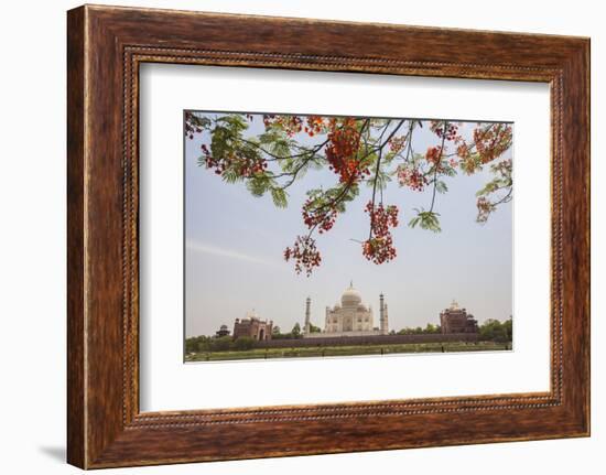 Branches of a Flowering Tree with Red Flowers Frame the Taj Mahal Symbol of Islam in India-Roberto Moiola-Framed Photographic Print