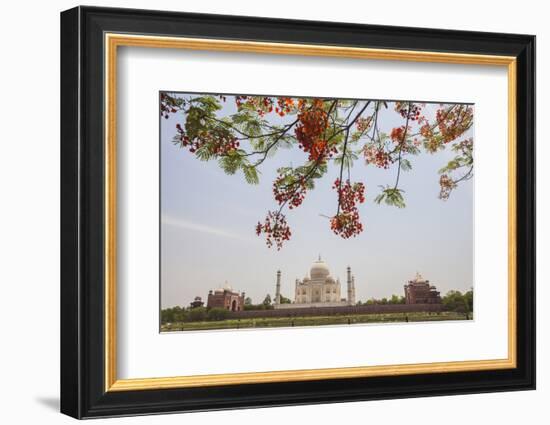 Branches of a Flowering Tree with Red Flowers Frame the Taj Mahal Symbol of Islam in India-Roberto Moiola-Framed Photographic Print
