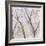 Branches of a Wish Tree A-Danna Harvey-Framed Giclee Print