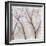 Branches of a Wish Tree A-Danna Harvey-Framed Giclee Print