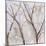 Branches of a Wish Tree A-Danna Harvey-Mounted Giclee Print