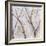 Branches of a Wish Tree A-Danna Harvey-Framed Giclee Print