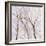 Branches of a Wish Tree B-Danna Harvey-Framed Giclee Print