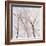 Branches of a Wish Tree B-Danna Harvey-Framed Giclee Print