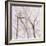 Branches of a Wish Tree B-Danna Harvey-Framed Giclee Print