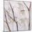 Branches of a Wish Tree D-Danna Harvey-Mounted Giclee Print
