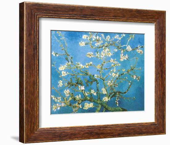 Branches of an Almond Tree in Bloom, 1890-Vincent van Gogh-Framed Art Print