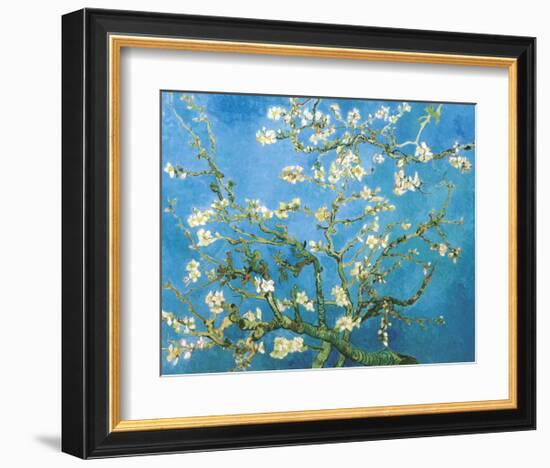 Branches of an Almond Tree in Bloom, 1890-Vincent van Gogh-Framed Art Print