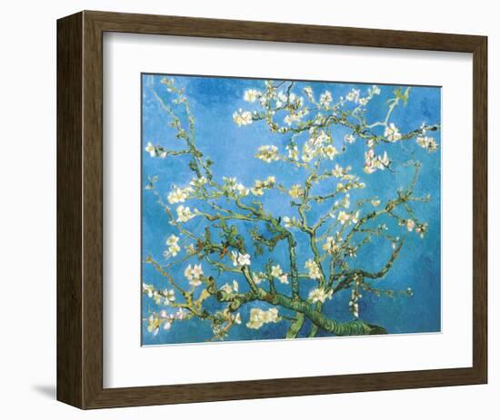 Branches of an Almond Tree in Bloom, 1890-Vincent van Gogh-Framed Art Print
