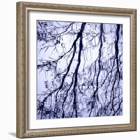 Branches on Purple-Gail Peck-Framed Photo