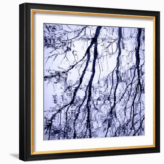 Branches on Purple-Gail Peck-Framed Photo