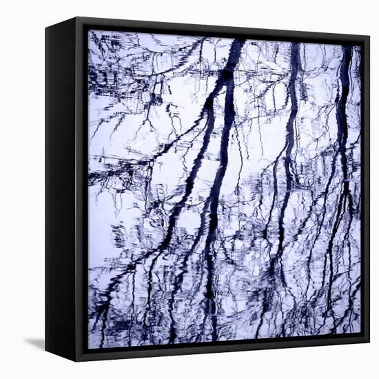 Branches on Purple-Gail Peck-Framed Stretched Canvas