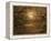 Branches Surrounding Harvest Moon-Robert Llewellyn-Framed Premier Image Canvas