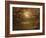 Branches Surrounding Harvest Moon-Robert Llewellyn-Framed Photographic Print